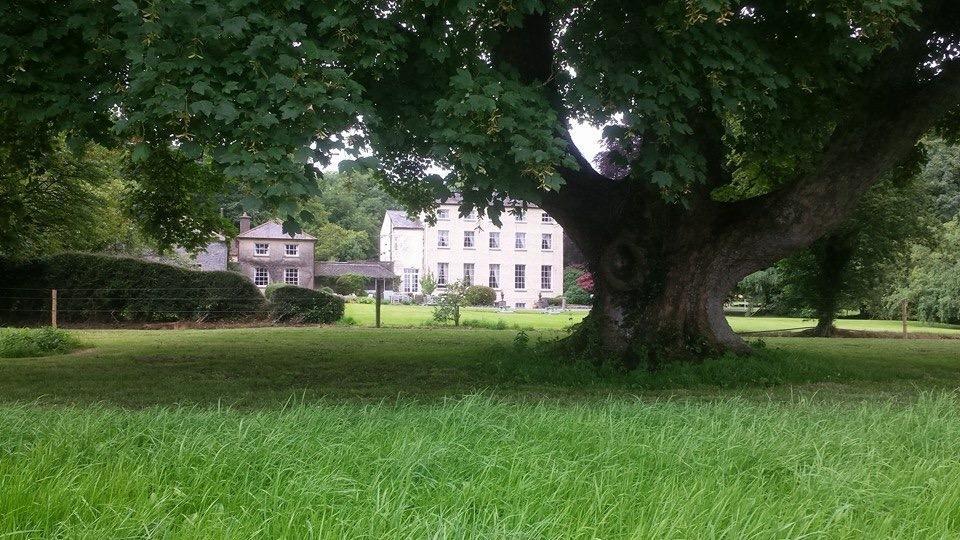 Clonacody House Guest House Clonmel Eksteriør bilde